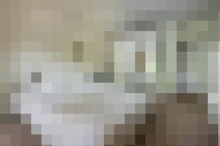 Provinciënlaan 1 A 23 Heemstede thumbnail 15