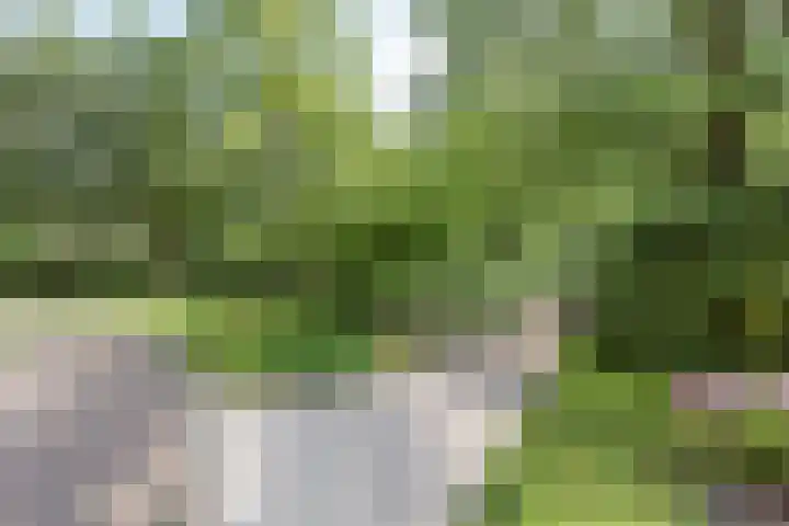 Provinciënlaan 1 A 23 Heemstede thumbnail 29