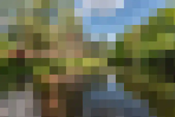 Provinciënlaan 1 A 23 Heemstede thumbnail 31