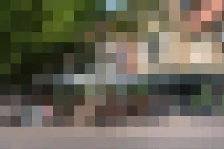 Provinciënlaan 1 A 23 Heemstede thumbnail 33