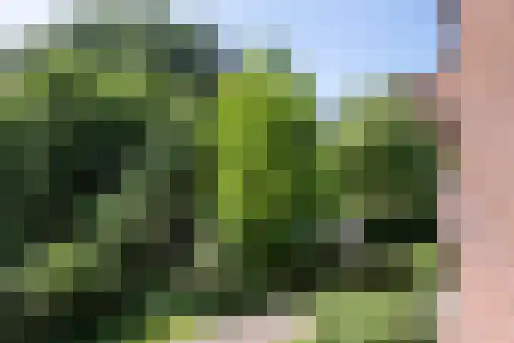 Provinciënlaan 1 A 23 Heemstede thumbnail 9