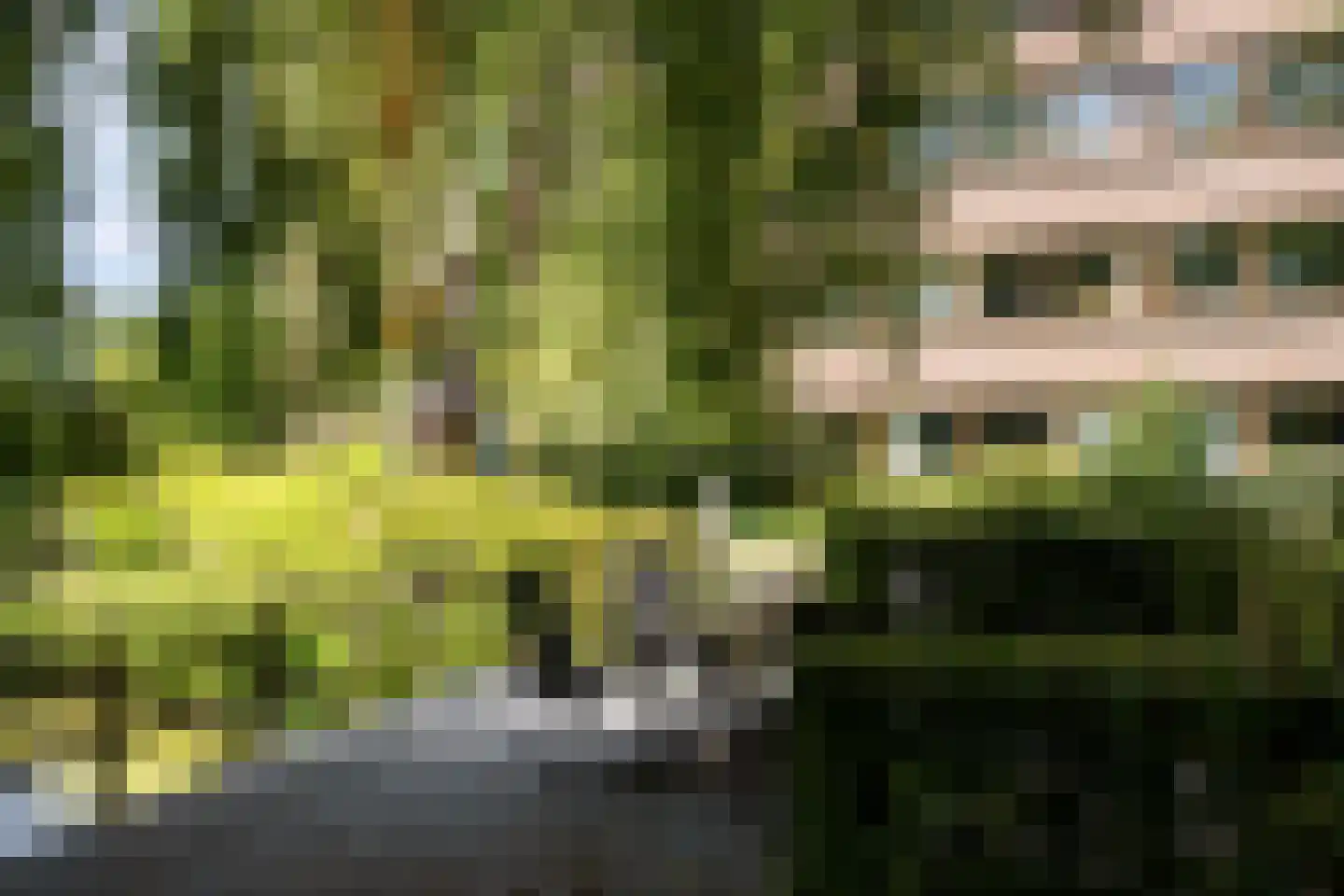 Provinciënlaan 1 A 24 Heemstede thumbnail 14