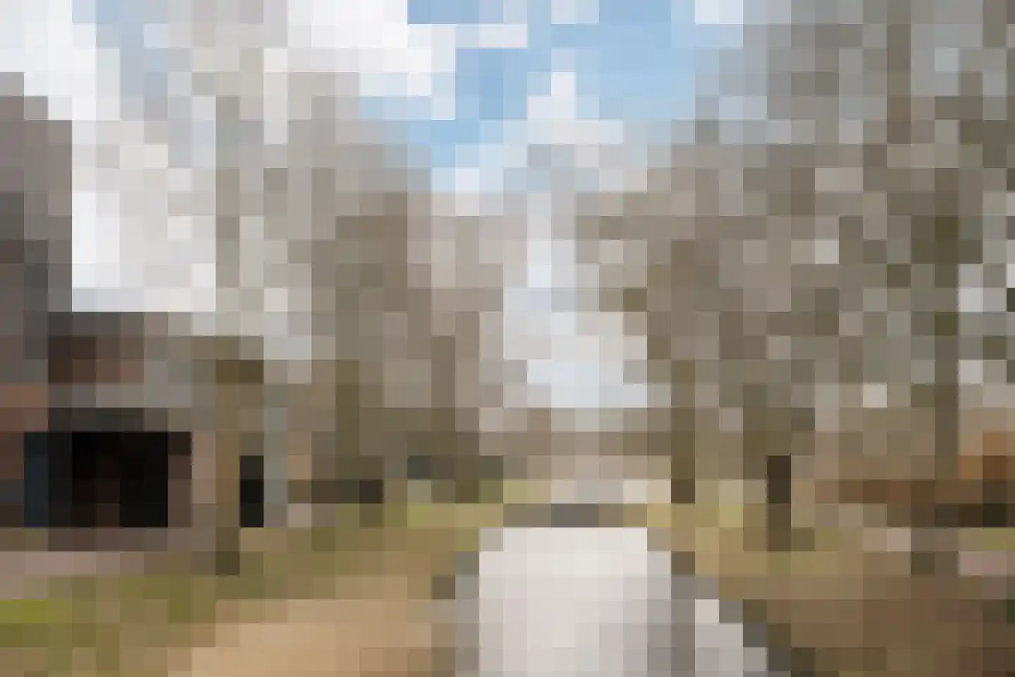 Provinciënlaan 1 A 24 Heemstede thumbnail 32