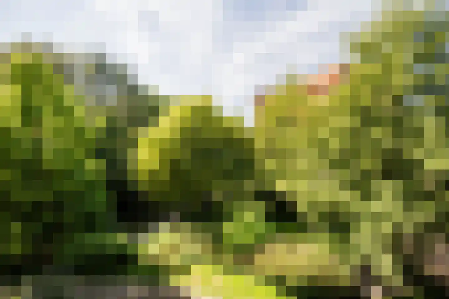 Provinciënlaan 1 A 24 Heemstede thumbnail 4