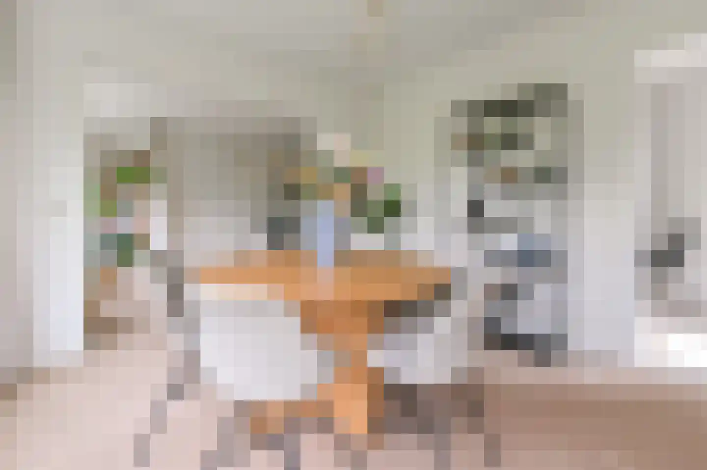Provinciënlaan 1 A 34 Heemstede thumbnail 11