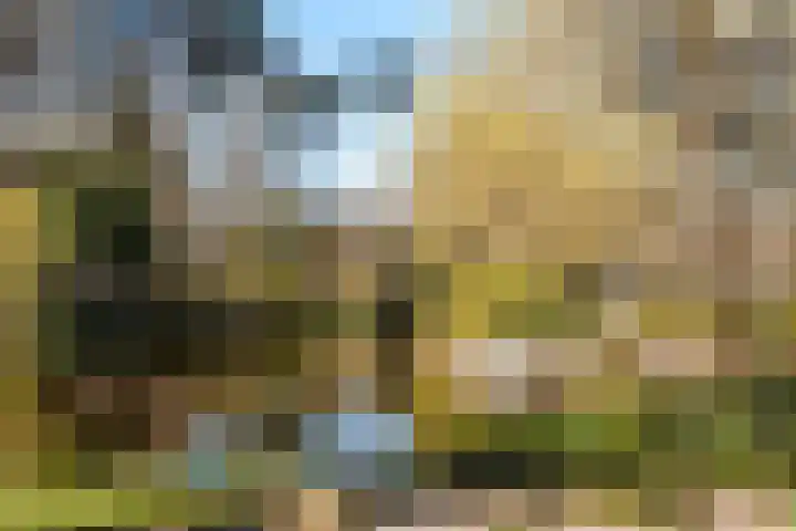 Provinciënlaan 1 A 35 Heemstede thumbnail 16