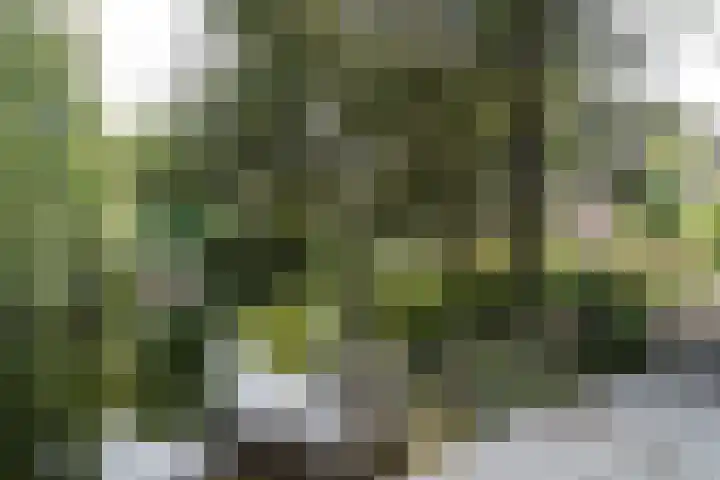 Provinciënlaan 1 A 35 Heemstede thumbnail 18