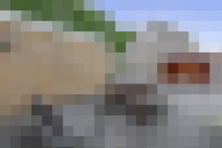 Provincienlaan 10 Veendam thumbnail 29
