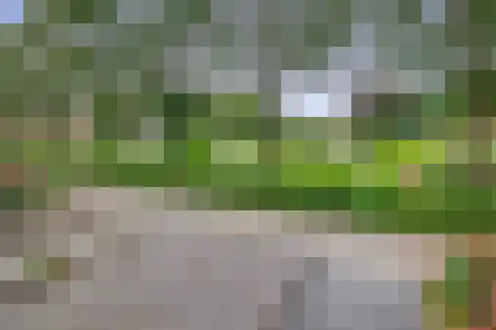 Provincienlaan 10 Veendam thumbnail 34