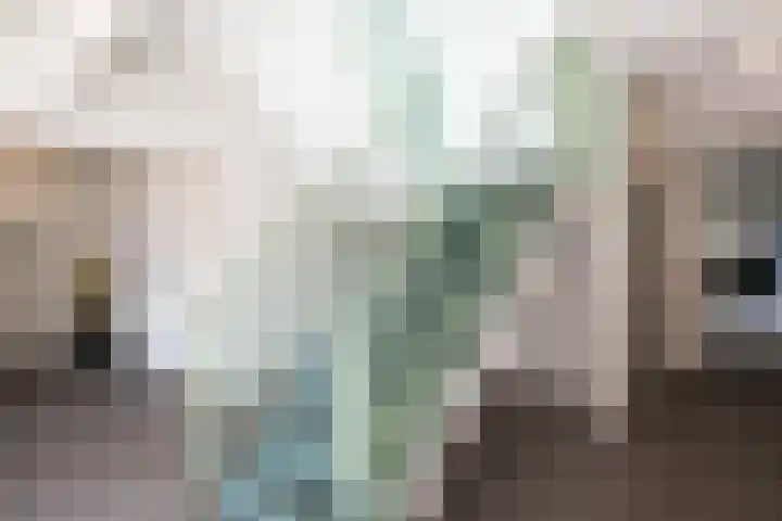 Provinciënlaan 2 D Heemstede thumbnail 31