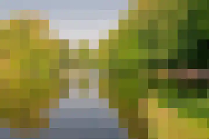 Provinciënlaan 2 D Heemstede thumbnail 42