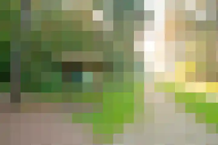 Provinciënlaan 2 D Heemstede thumbnail 43
