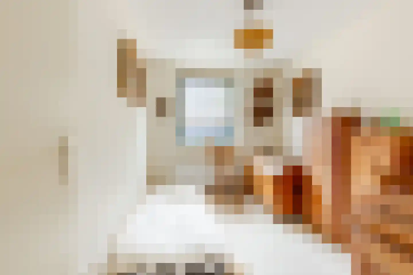 Provinciënlaan 2 F Heemstede thumbnail 12