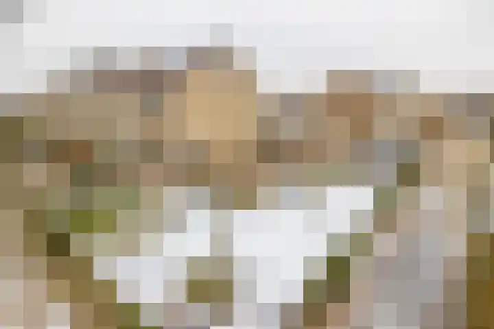 Provincienlaan 2 Veendam thumbnail 35