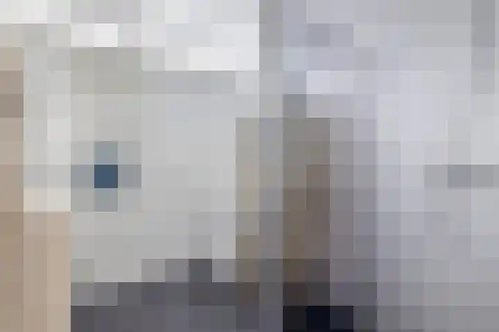 Provincienlaan 2 Veendam thumbnail 4
