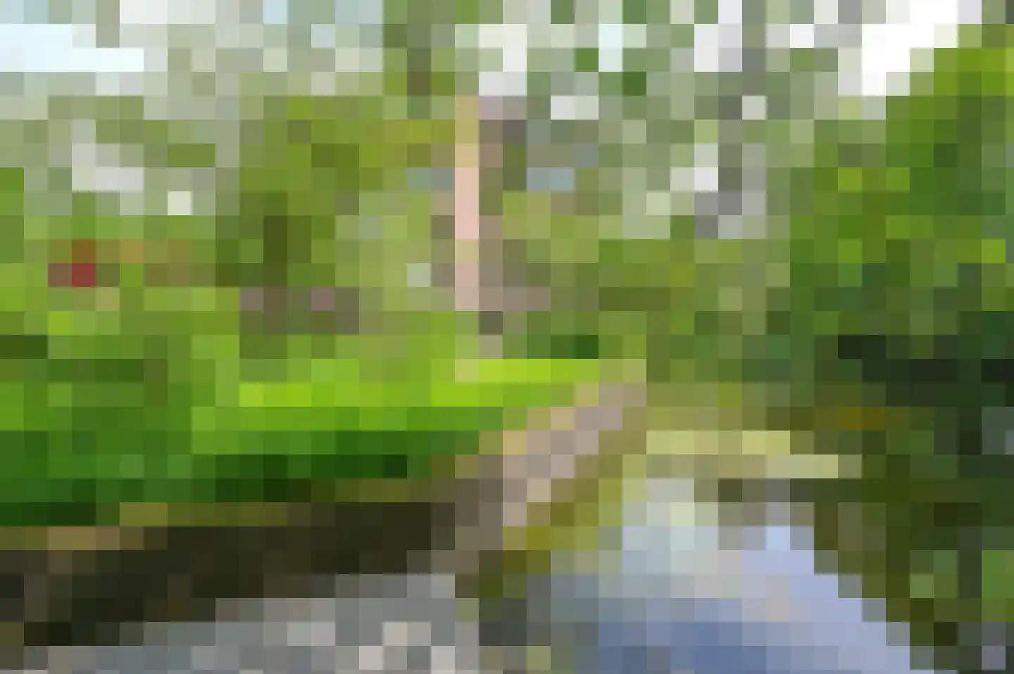 Provinciënlaan 3 B 24 Heemstede thumbnail 22
