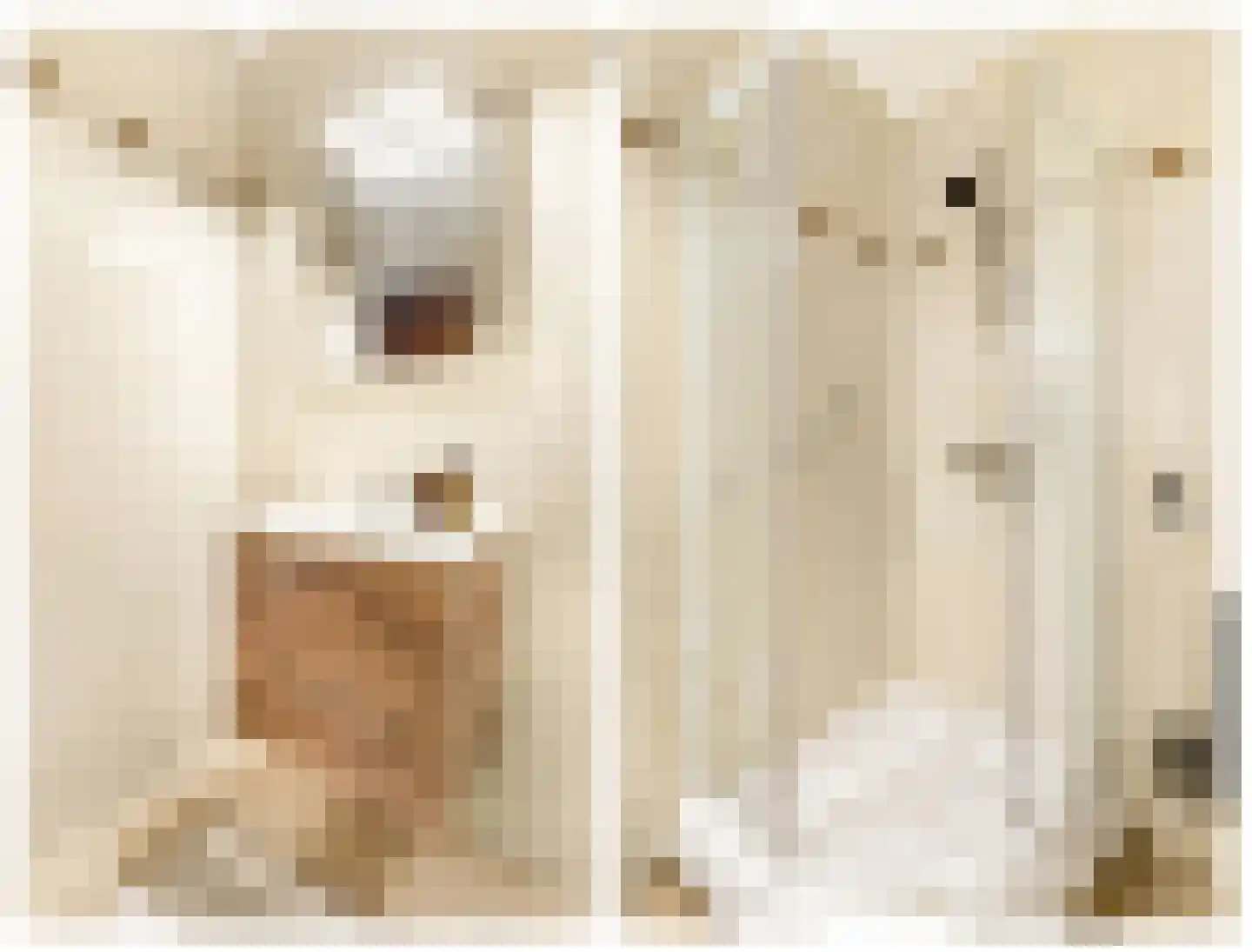Provinciënlaan 3 B 33 Heemstede thumbnail 38