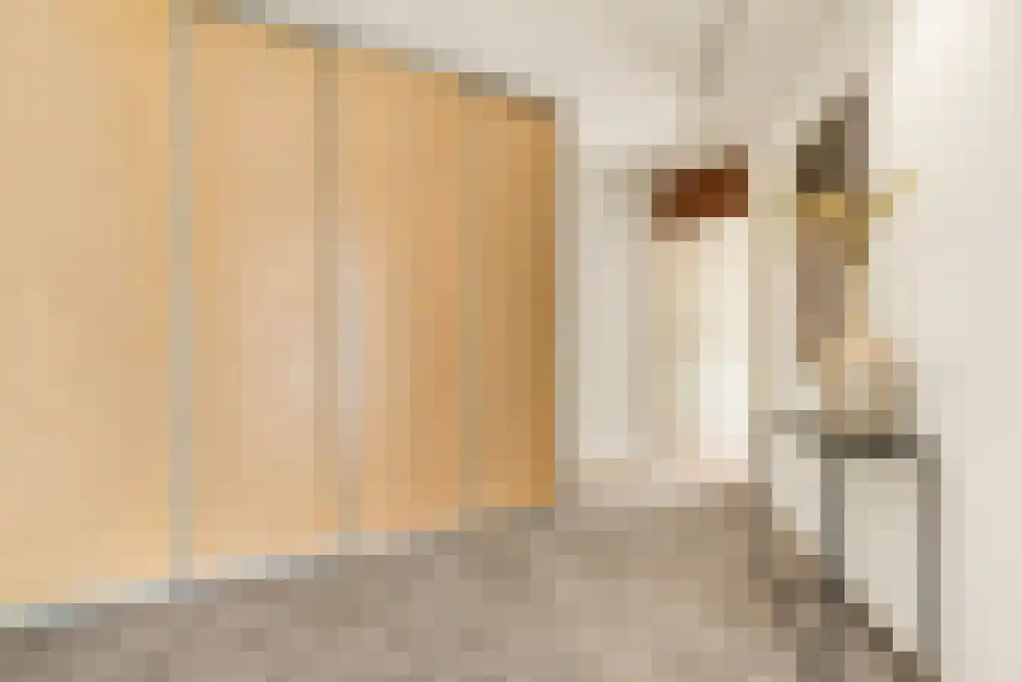 Provinciënlaan 3 B 33 Heemstede thumbnail 8