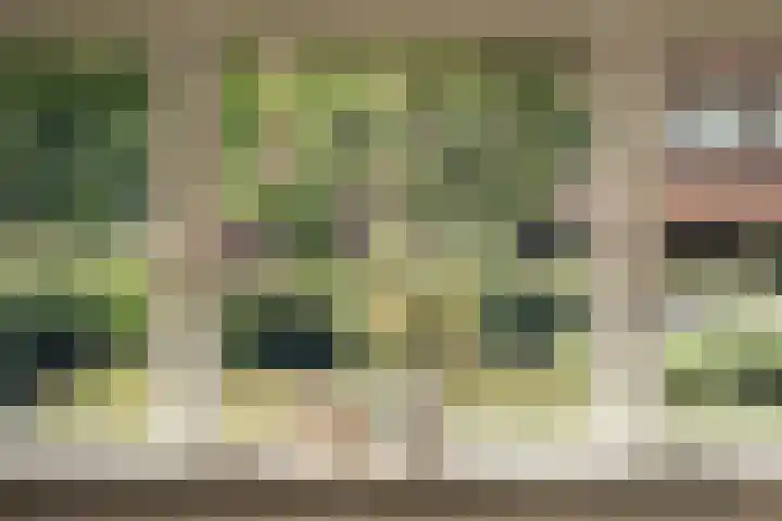 Provinciënlaan 3 B 4 Heemstede thumbnail 13