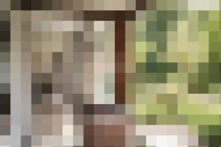 Provinciënlaan 3 B 4 Heemstede thumbnail 16