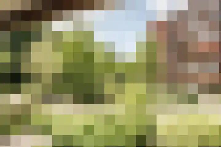 Provinciënlaan 3 B 4 Heemstede thumbnail 18