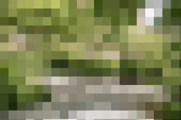 Provinciënlaan 3 B 4 Heemstede thumbnail 19