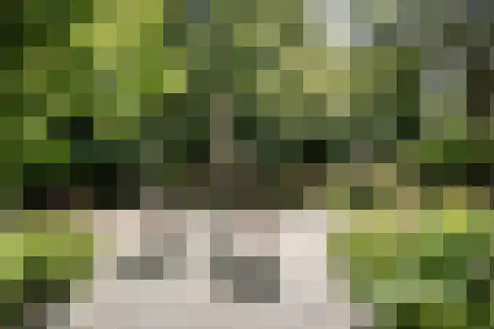 Provinciënlaan 3 B 4 Heemstede thumbnail 20