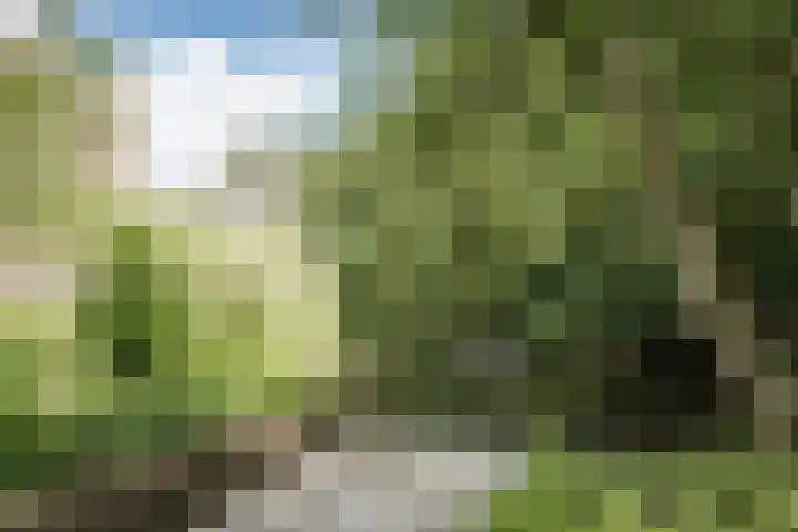 Provinciënlaan 3 B 4 Heemstede thumbnail 21