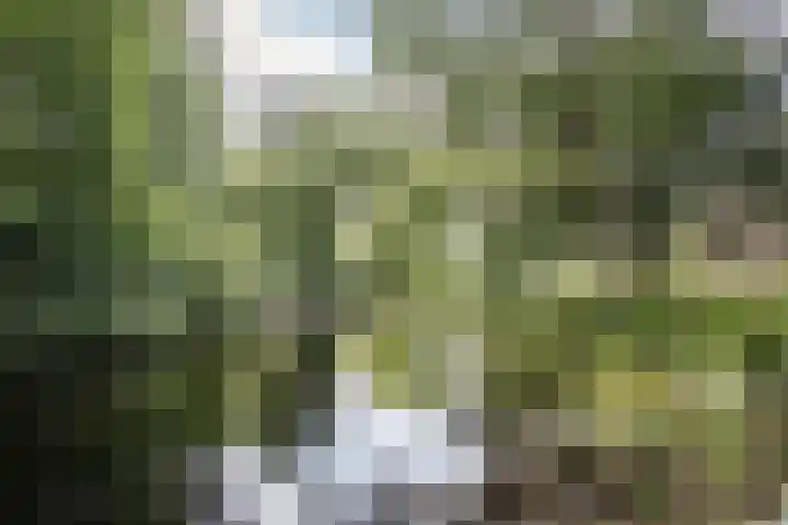 Provinciënlaan 3 B 4 Heemstede thumbnail 22