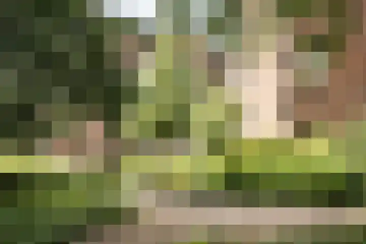 Provinciënlaan 3 B 4 Heemstede thumbnail 24