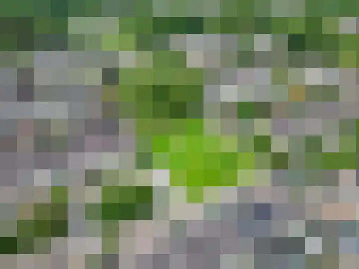 Provincienlaan 32 Veendam thumbnail 5