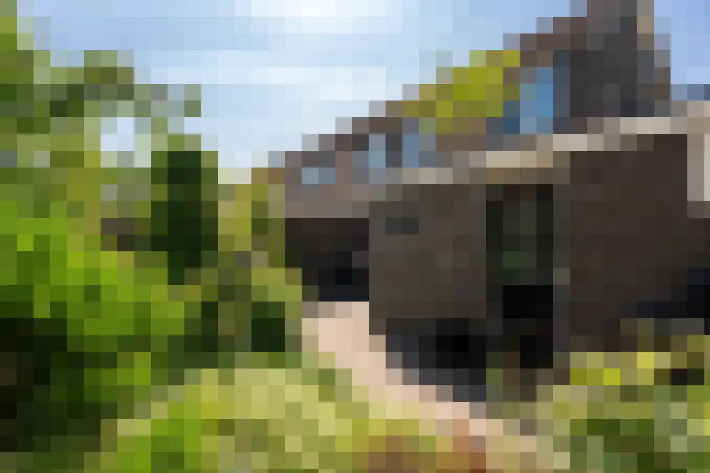 Provincienlaan 37 Veendam thumbnail 32