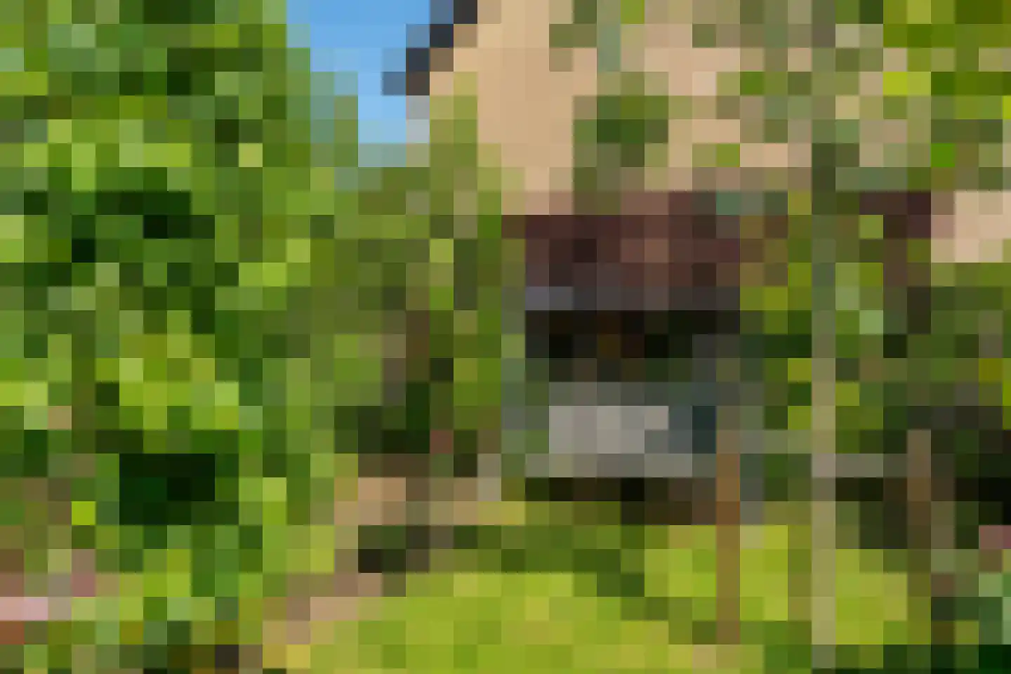 Provincienlaan 37 Veendam thumbnail 4