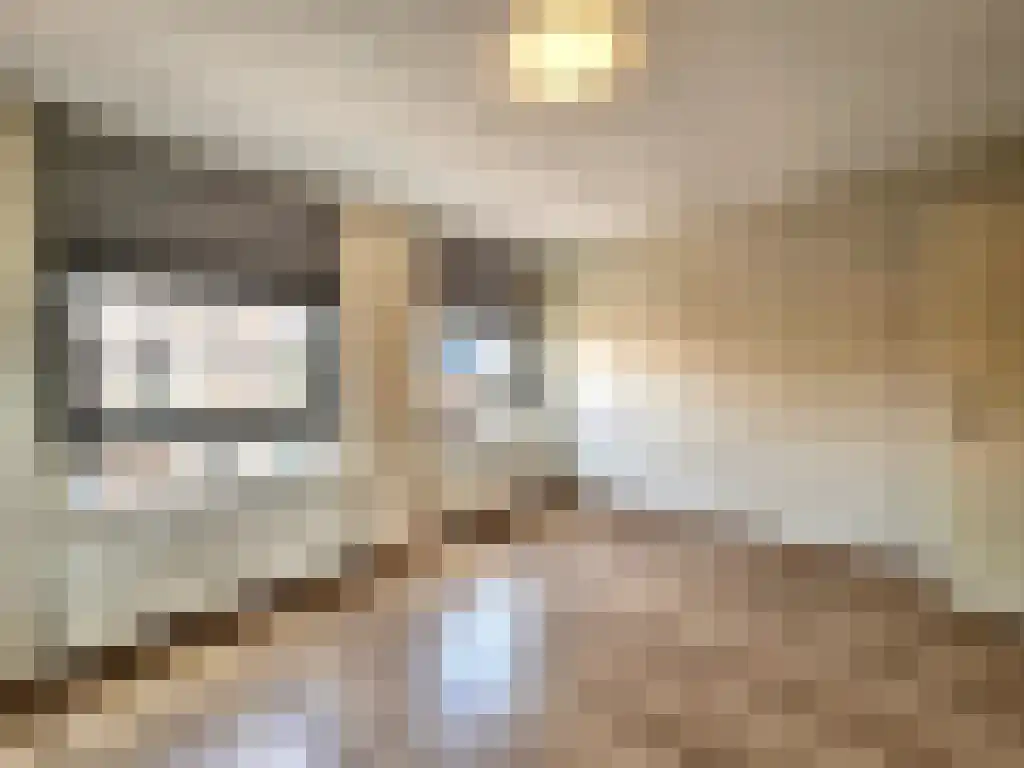 Provinciënlaan 4 C Heemstede thumbnail 4