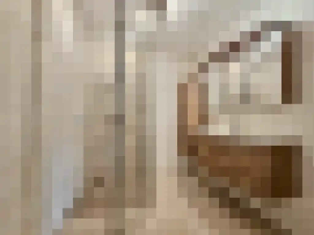 Provinciënlaan 4 C Heemstede thumbnail 5