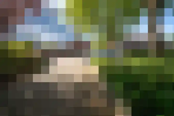 Provincienlaan 40 Veendam thumbnail 37