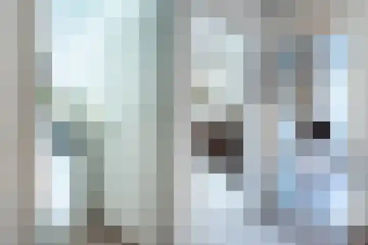 Provinciënlaan 5 C 15 Heemstede thumbnail 11