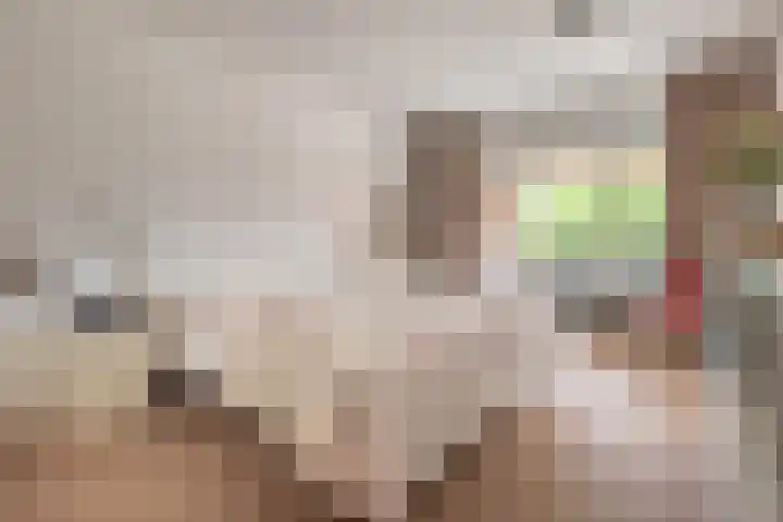 Provinciënlaan 5 C 15 Heemstede thumbnail 12