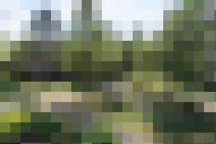 Provinciënlaan 5 C 15 Heemstede thumbnail 20