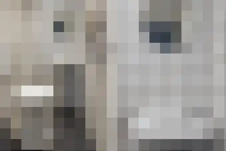 Provinciënlaan 5 C 15 Heemstede thumbnail 21
