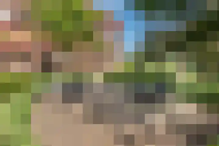 Provinciënlaan 5 C 15 Heemstede thumbnail 24