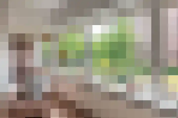 Provinciënlaan 5 C 15 Heemstede thumbnail 6