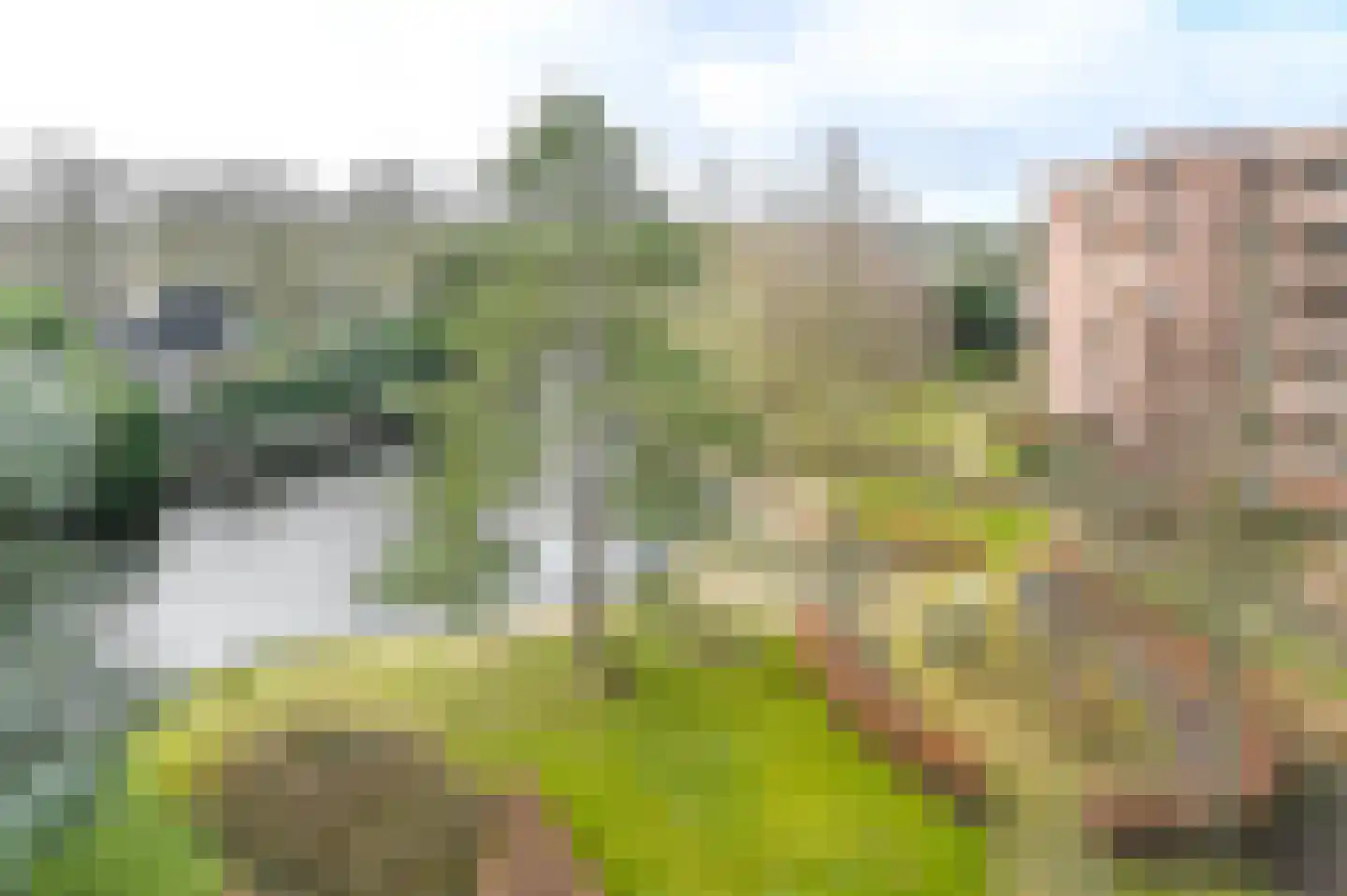 Provinciënlaan 5 C 43 Heemstede thumbnail 16
