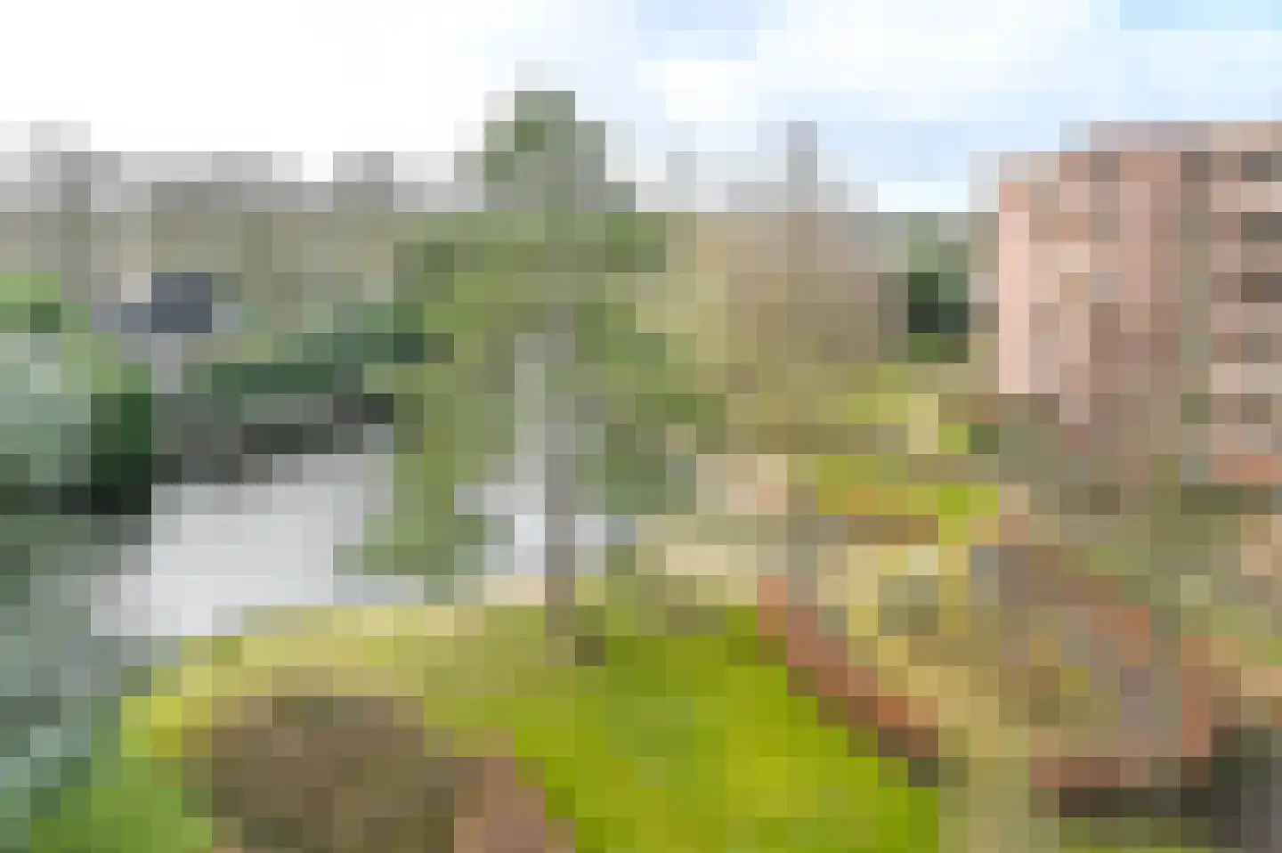 Provinciënlaan 5 C 43 Heemstede foto 2