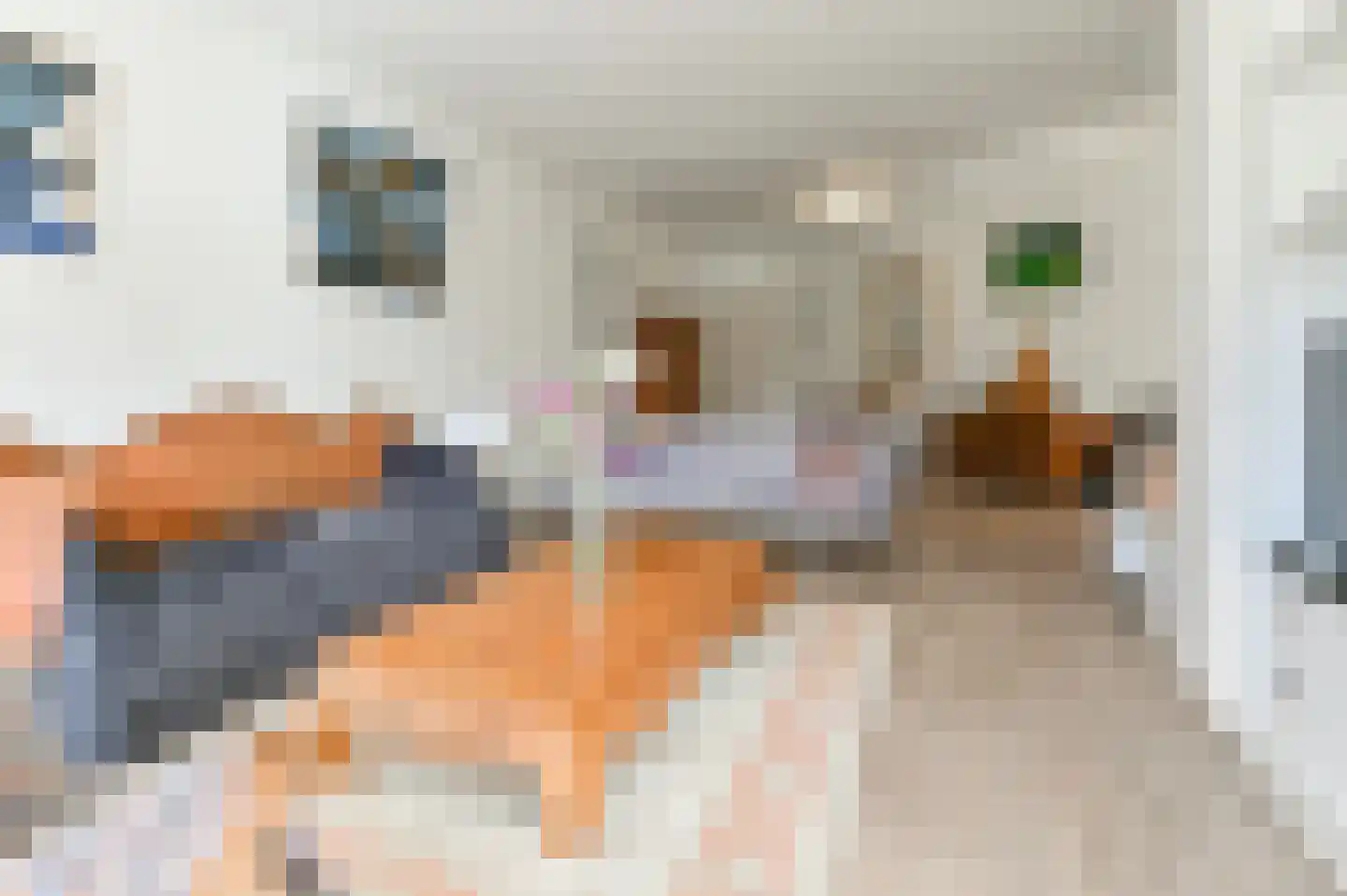 Provinciënlaan 5 C 43 Heemstede thumbnail 4