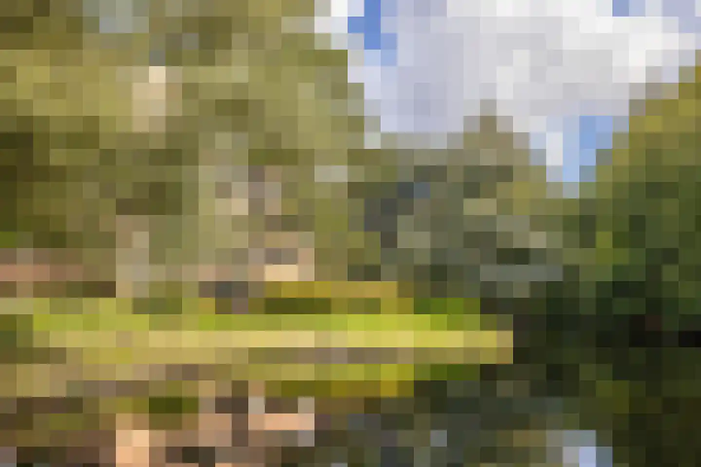 Provinciënlaan 5 C 5 Heemstede thumbnail 28
