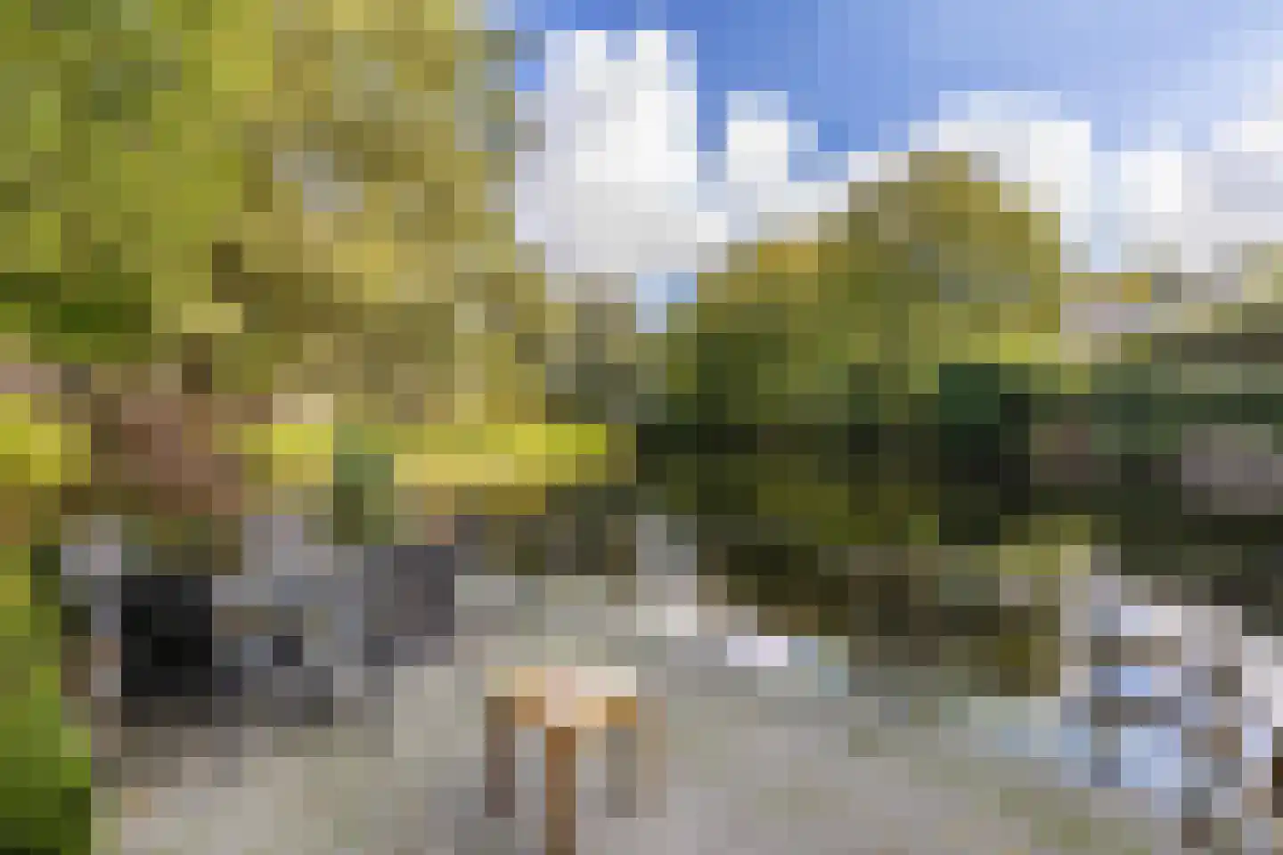 Provinciënlaan 5 C 5 Heemstede thumbnail 7