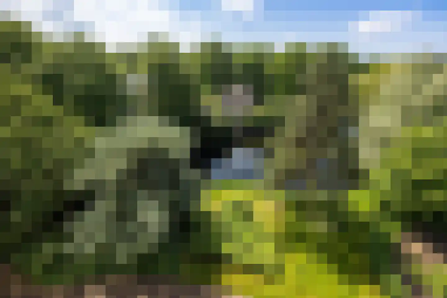 Provinciënlaan 5 C 54 Heemstede thumbnail 35