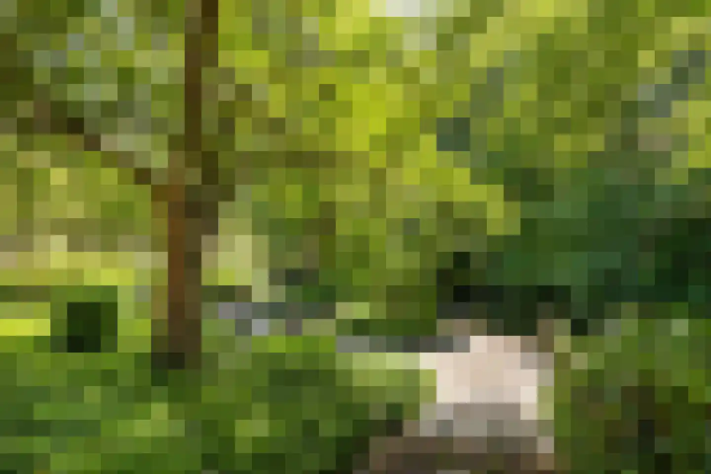 Provinciënlaan 5 C 54 Heemstede thumbnail 38