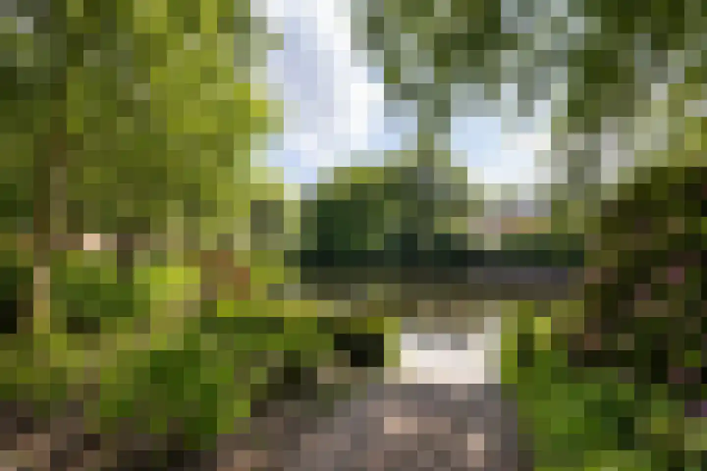 Provinciënlaan 5 C 54 Heemstede thumbnail 39